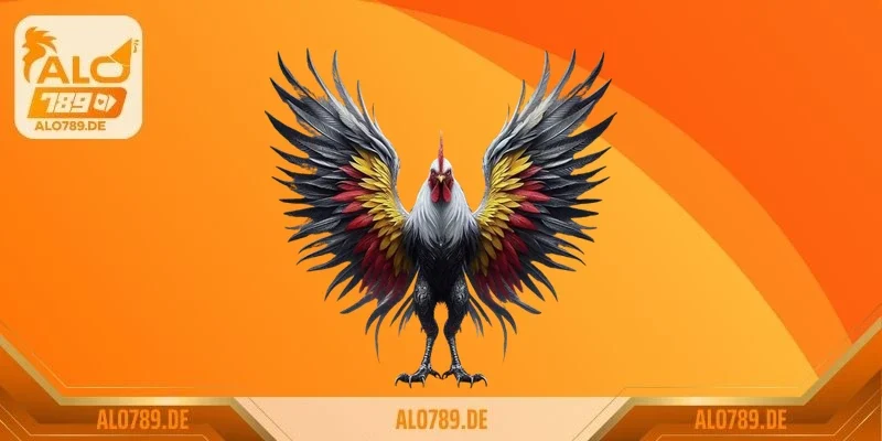 Luật đá gà cơ bản