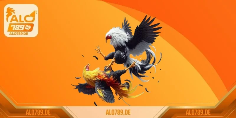 Đối tượng tham gia đông đảo