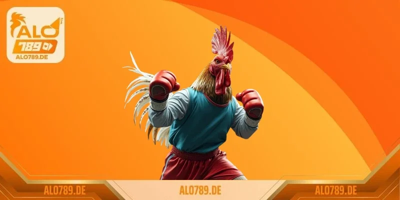 Gà mặt quỷ – giống gà độc lạ khiến giới chơi gà sửng sốt