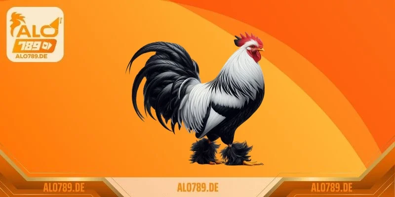 Thế nào là một lối gà chọi hay nhất?