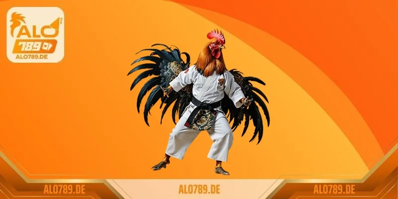 Đá gà trực tiếp Việt Nam – không khí cuồng nhiệt của sới gà truyền thống