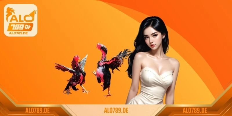 Giới thiệu ALO789 là gì?